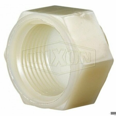 DIXON Tuff-Lite Pipe Cap, 3/8 in, FNPT, Nylon, Domestic TTC3